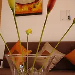 아파트 Apartmentos T1 Olhos Agua *