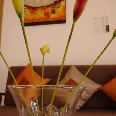 Appartement Atlântico By Oa *